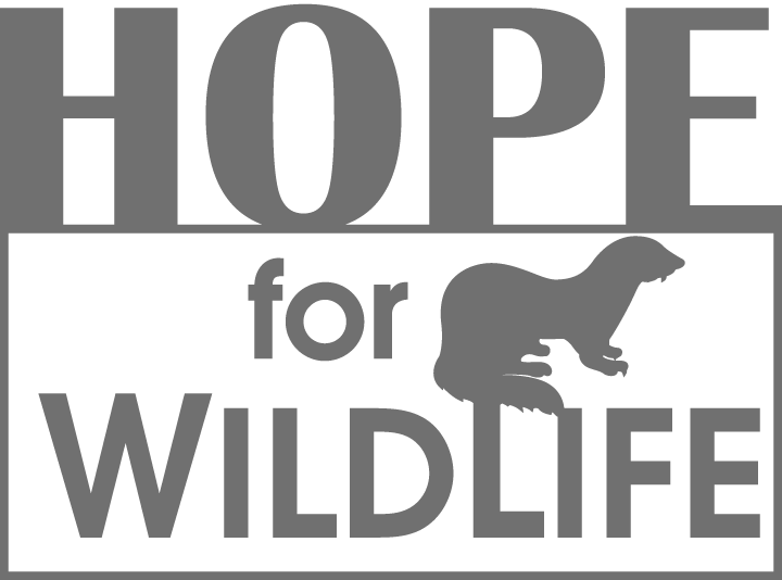 Hope for Wildlife logo